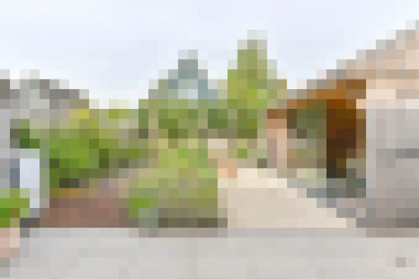 Albert Oostingweg 3 A Wezuperbrug thumbnail 4