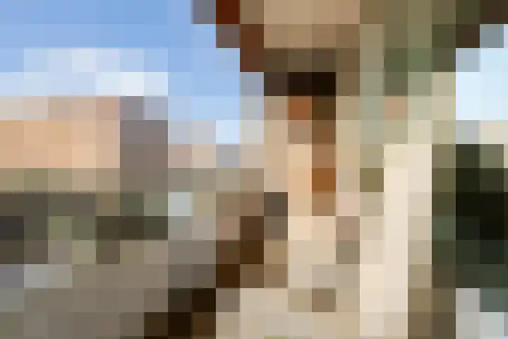 Albert Plesmanplein 57 Gouda thumbnail 23