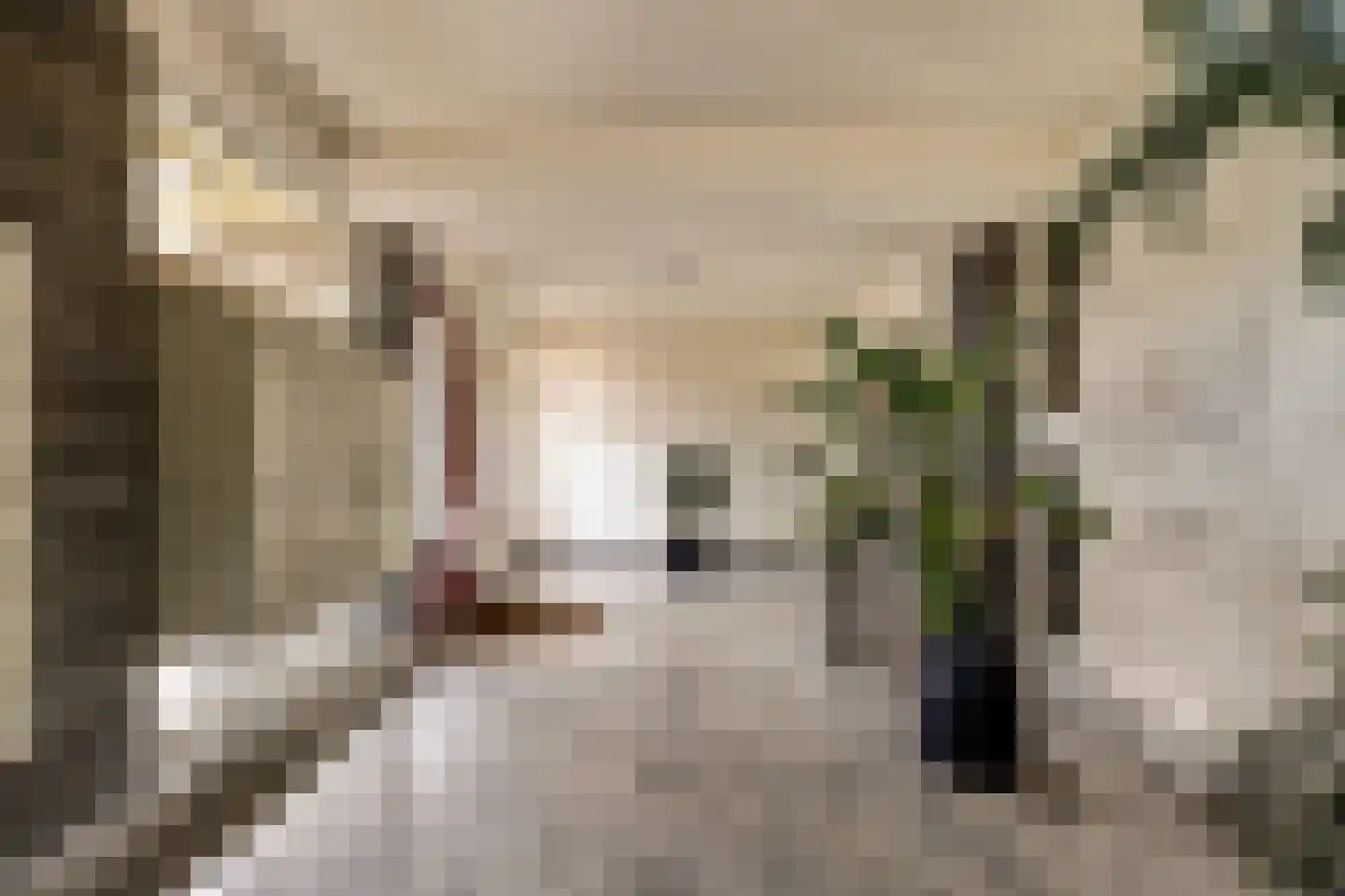 Albert Plesmanplein 62 Gouda thumbnail 9