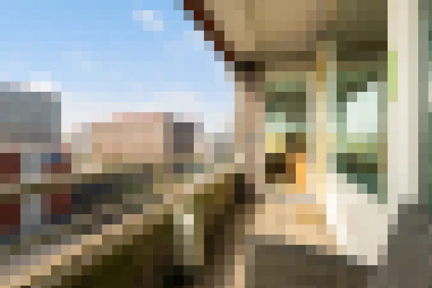 Albert Plesmanplein 82 Gouda thumbnail 14