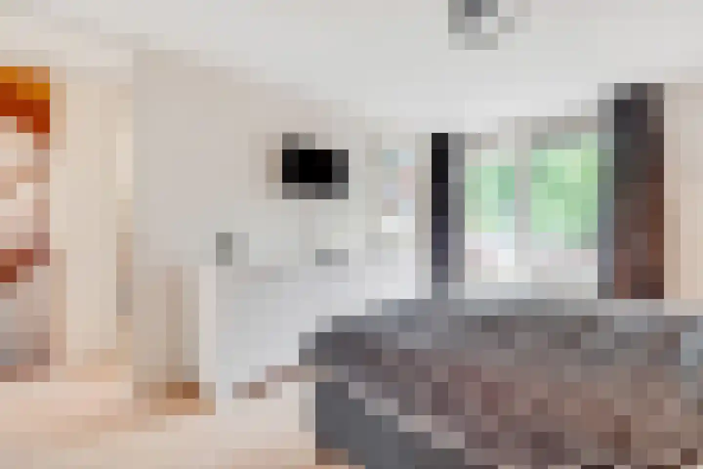Albert Plesmanring 2 Huis ter Heide thumbnail 19