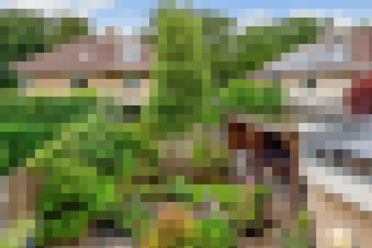 Albert Plesmanring 2 Huis ter Heide thumbnail 28