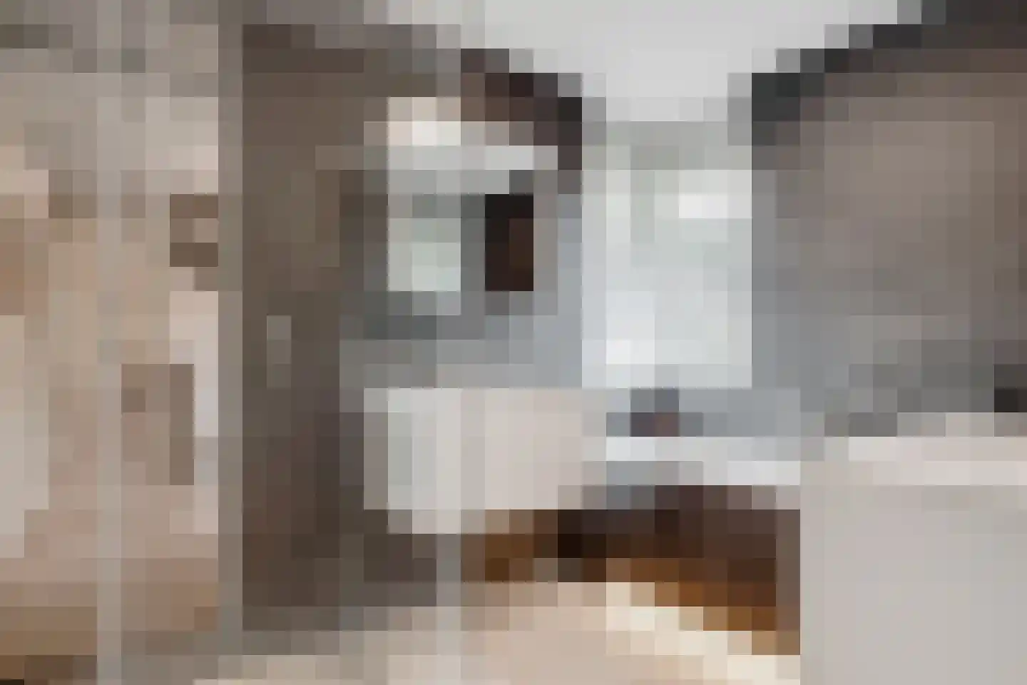 Albert Plesmanring 2 Huis ter Heide thumbnail 30