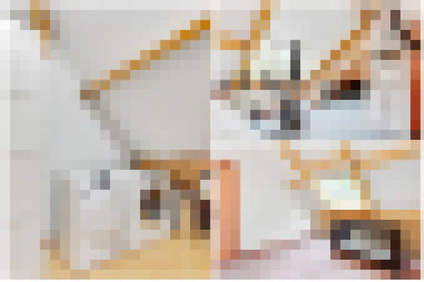 Albert Plesmanring 2 Huis ter Heide thumbnail 35