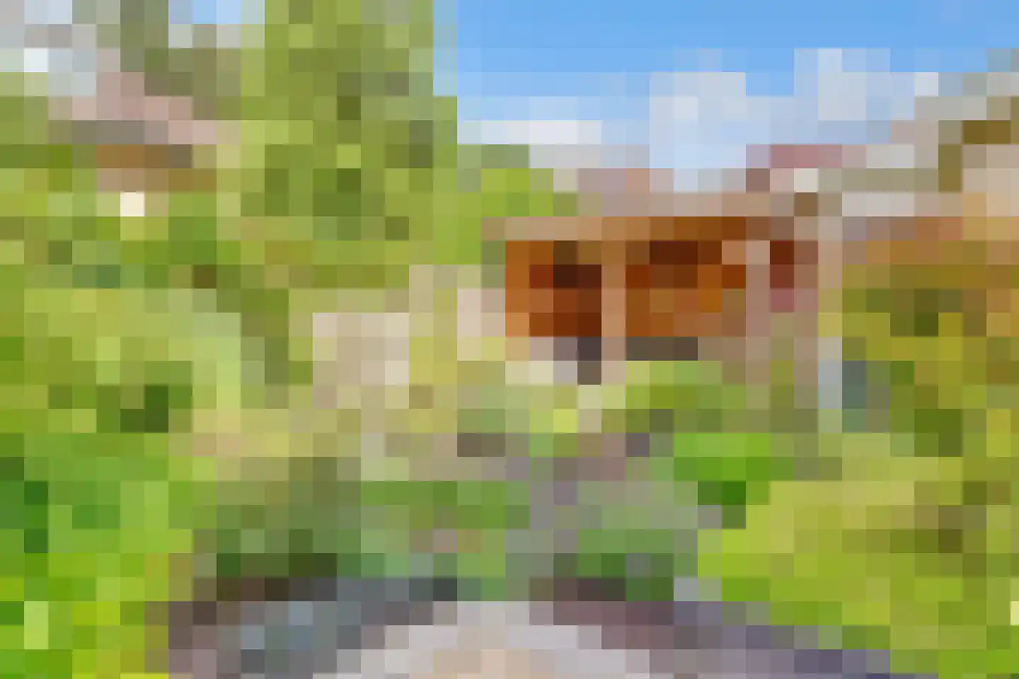 Albert Plesmanring 2 Huis ter Heide thumbnail 42