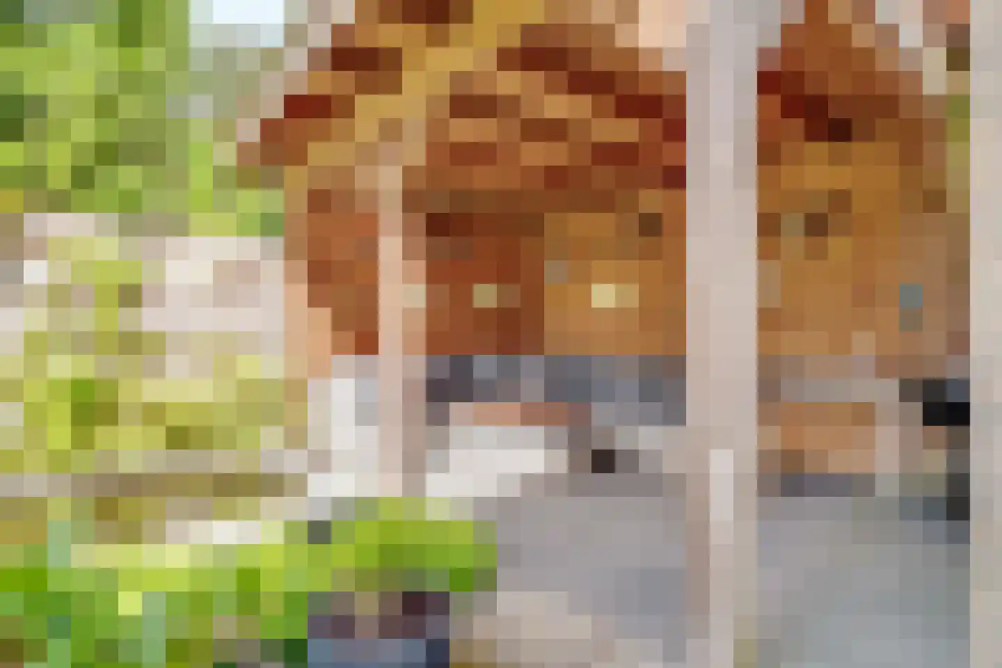 Albert Plesmanring 2 Huis ter Heide thumbnail 44