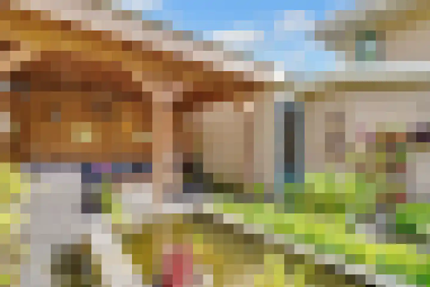 Albert Plesmanring 2 Huis ter Heide thumbnail 46