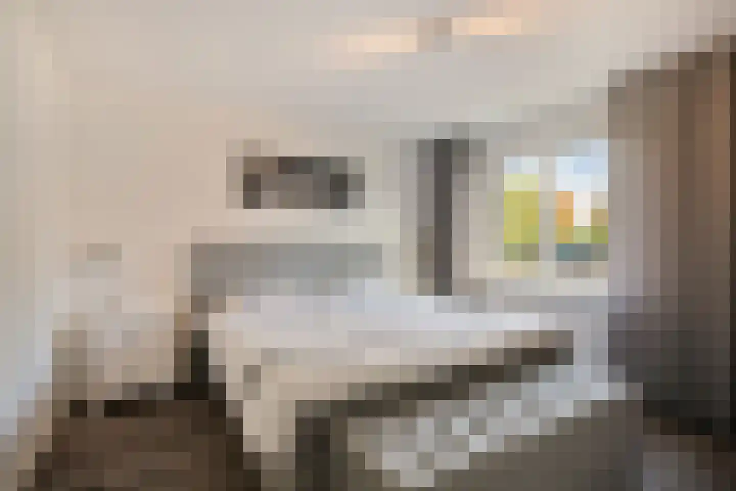 Albert Plesmansingel 53 's-Hertogenbosch thumbnail 13