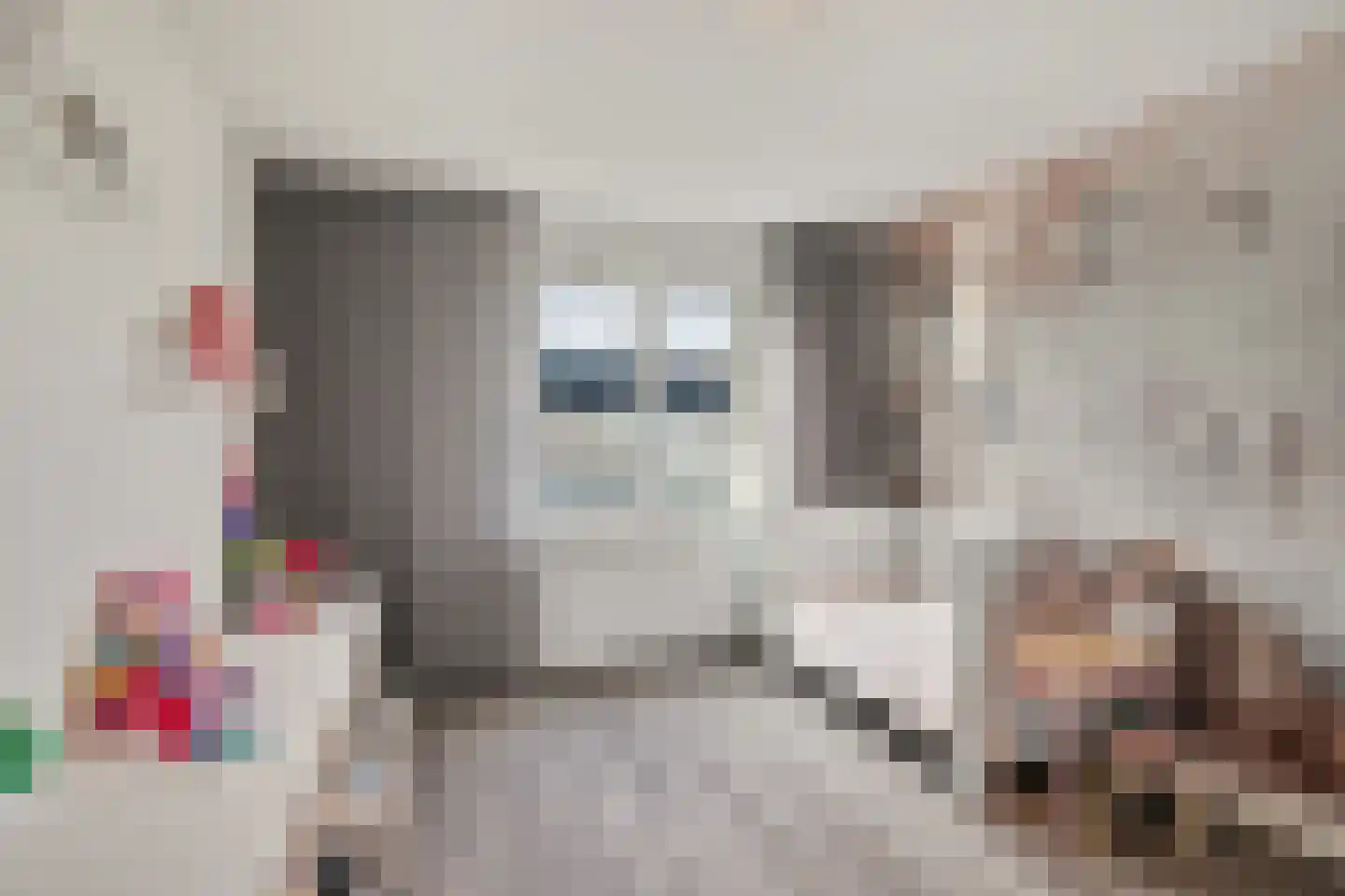Albert Plesmansingel 53 's-Hertogenbosch thumbnail 16