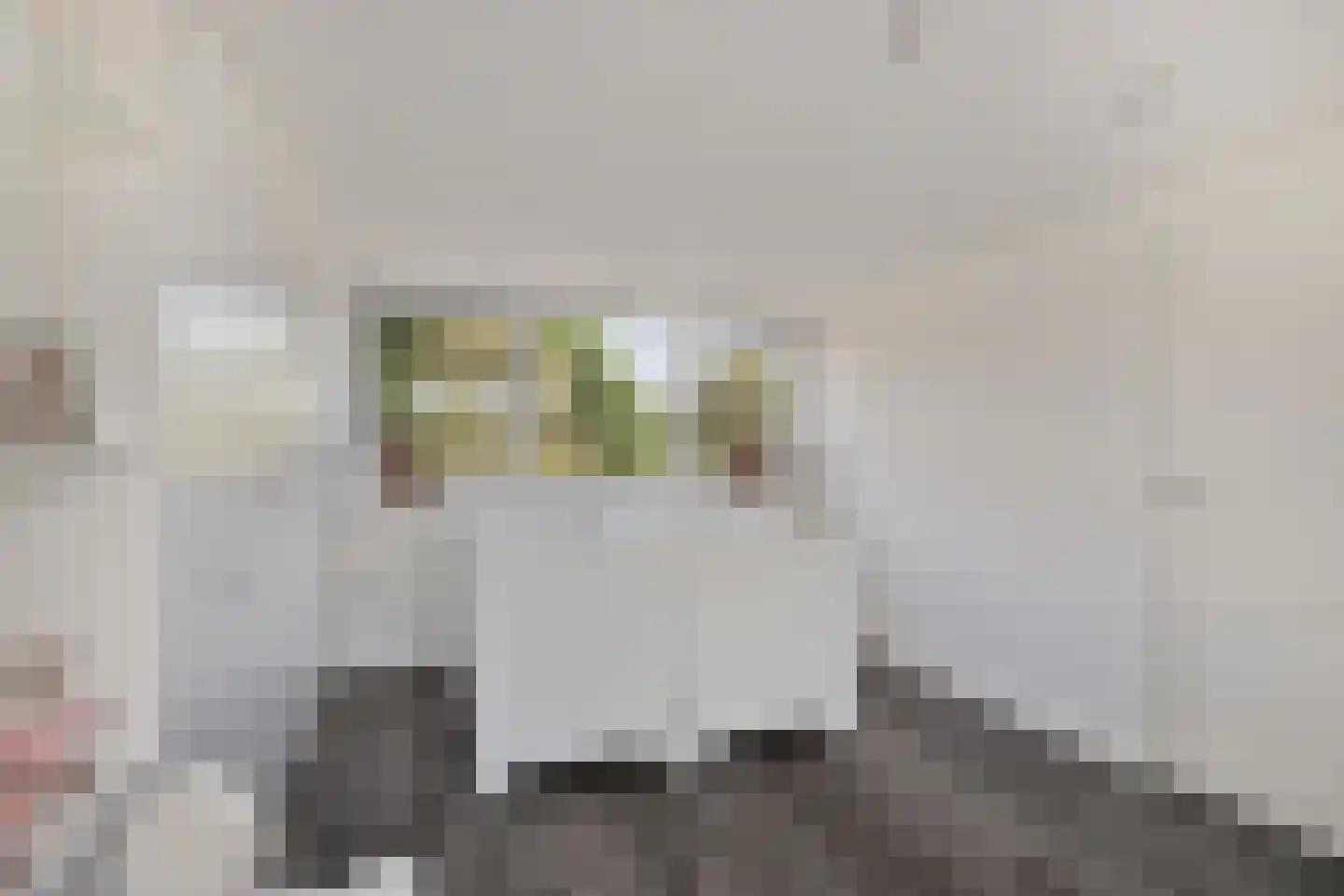 Albert Plesmansingel 53 's-Hertogenbosch thumbnail 25
