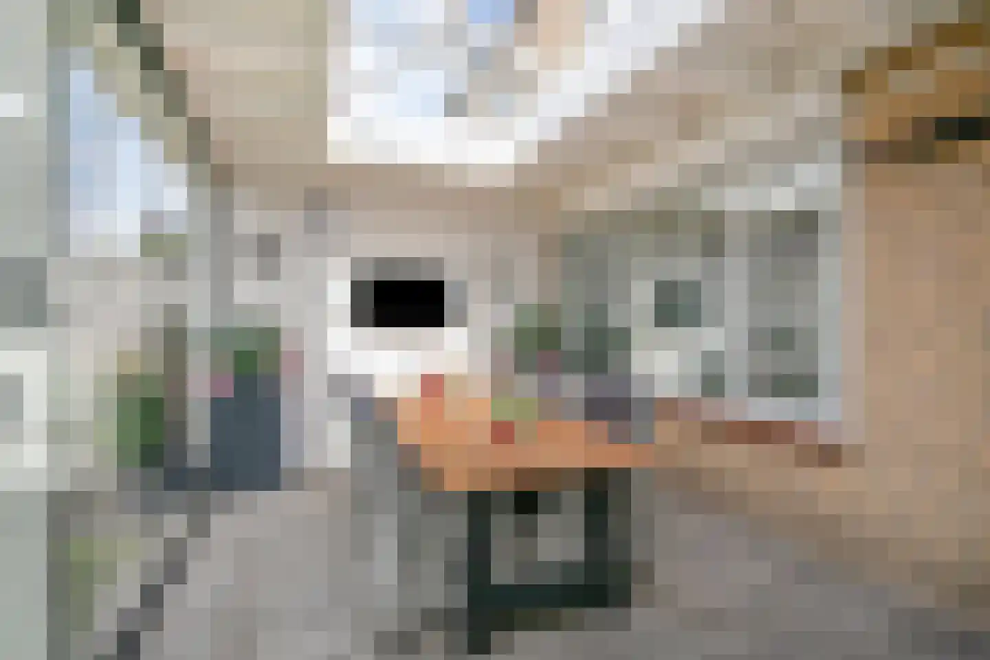 Albert Plesmansingel 53 's-Hertogenbosch thumbnail 26
