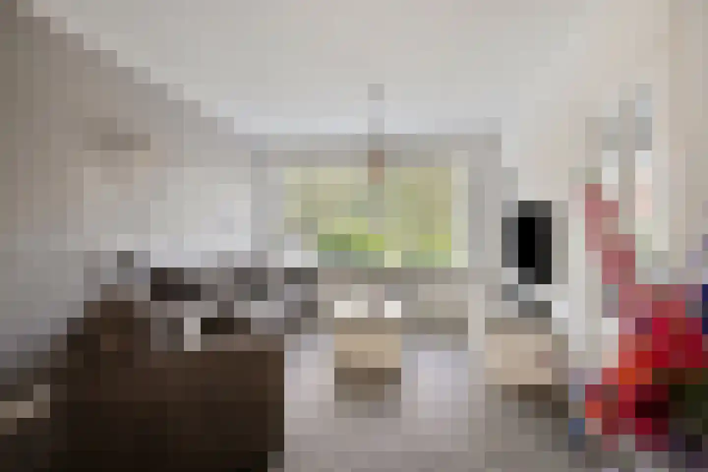 Albert Plesmansingel 53 's-Hertogenbosch foto 3