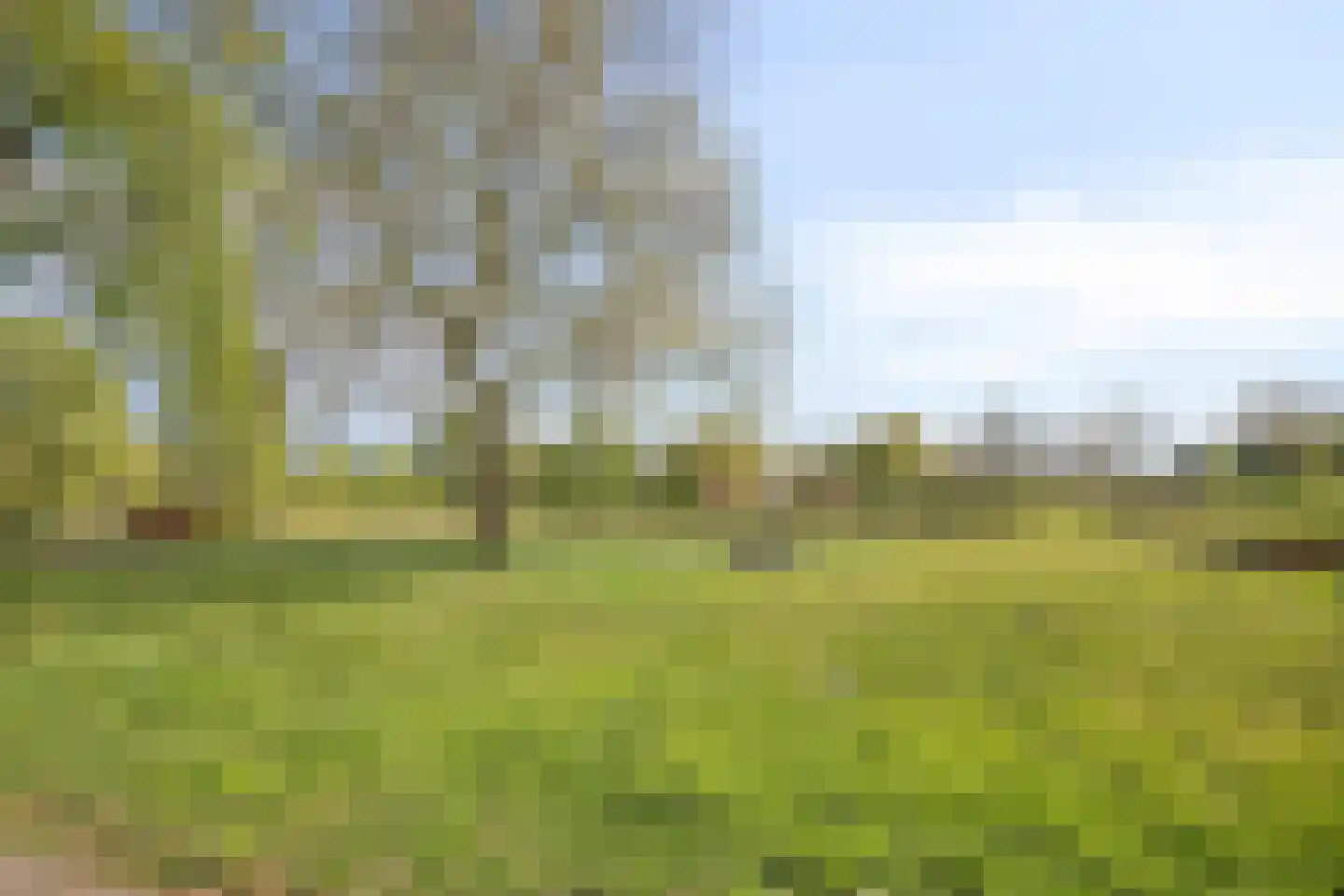 Albert Plesmansingel 53 's-Hertogenbosch thumbnail 34
