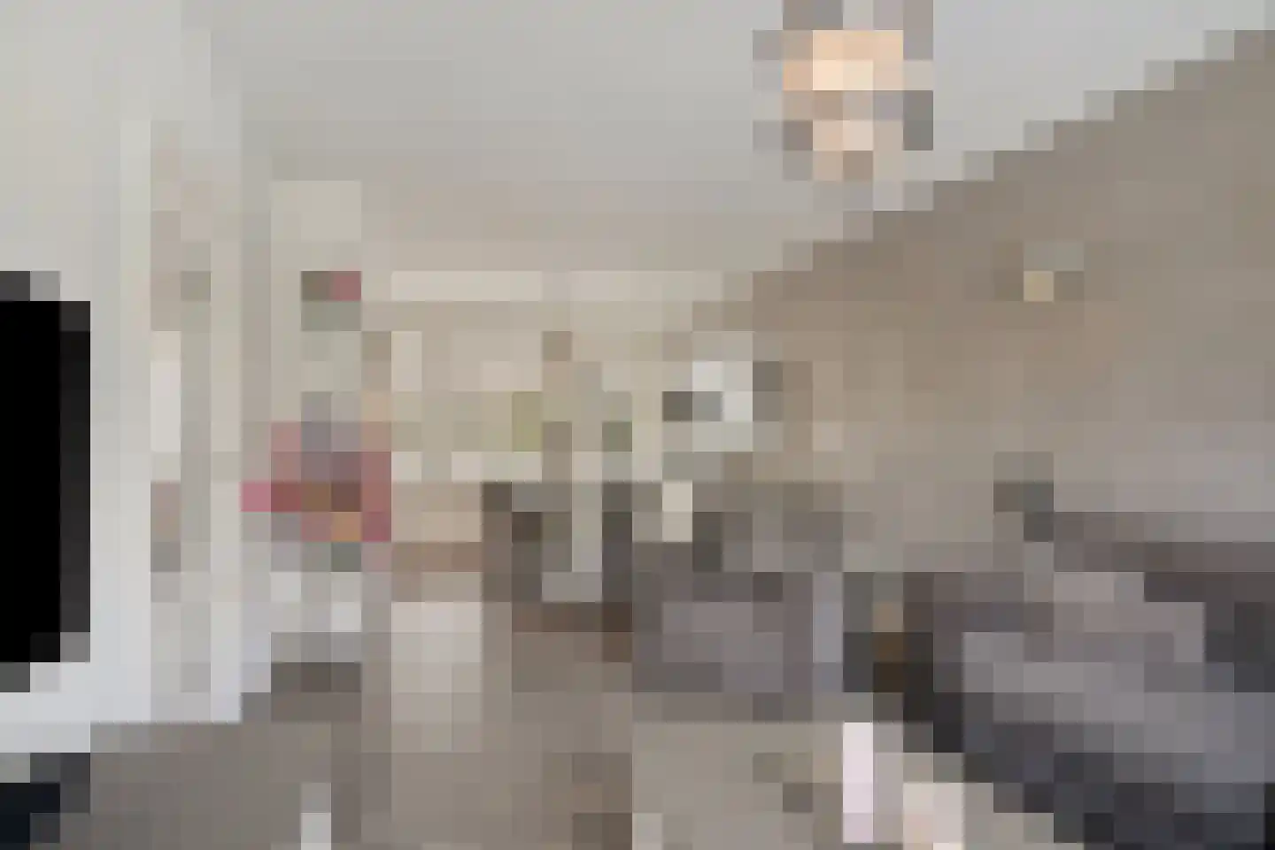 Albert Plesmansingel 53 's-Hertogenbosch thumbnail 5
