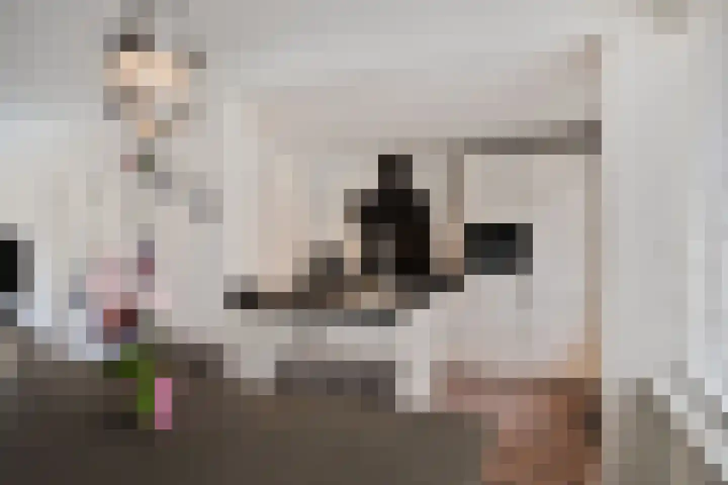 Albert Plesmansingel 53 's-Hertogenbosch thumbnail 7
