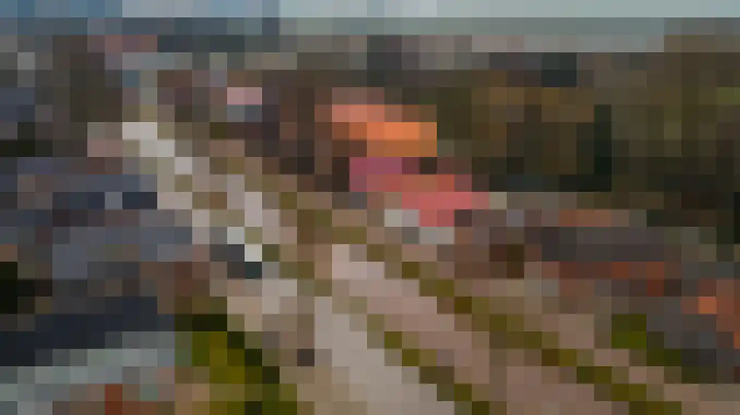 Albert Reijndersstraat B 206 Nieuwe Pekela thumbnail 4