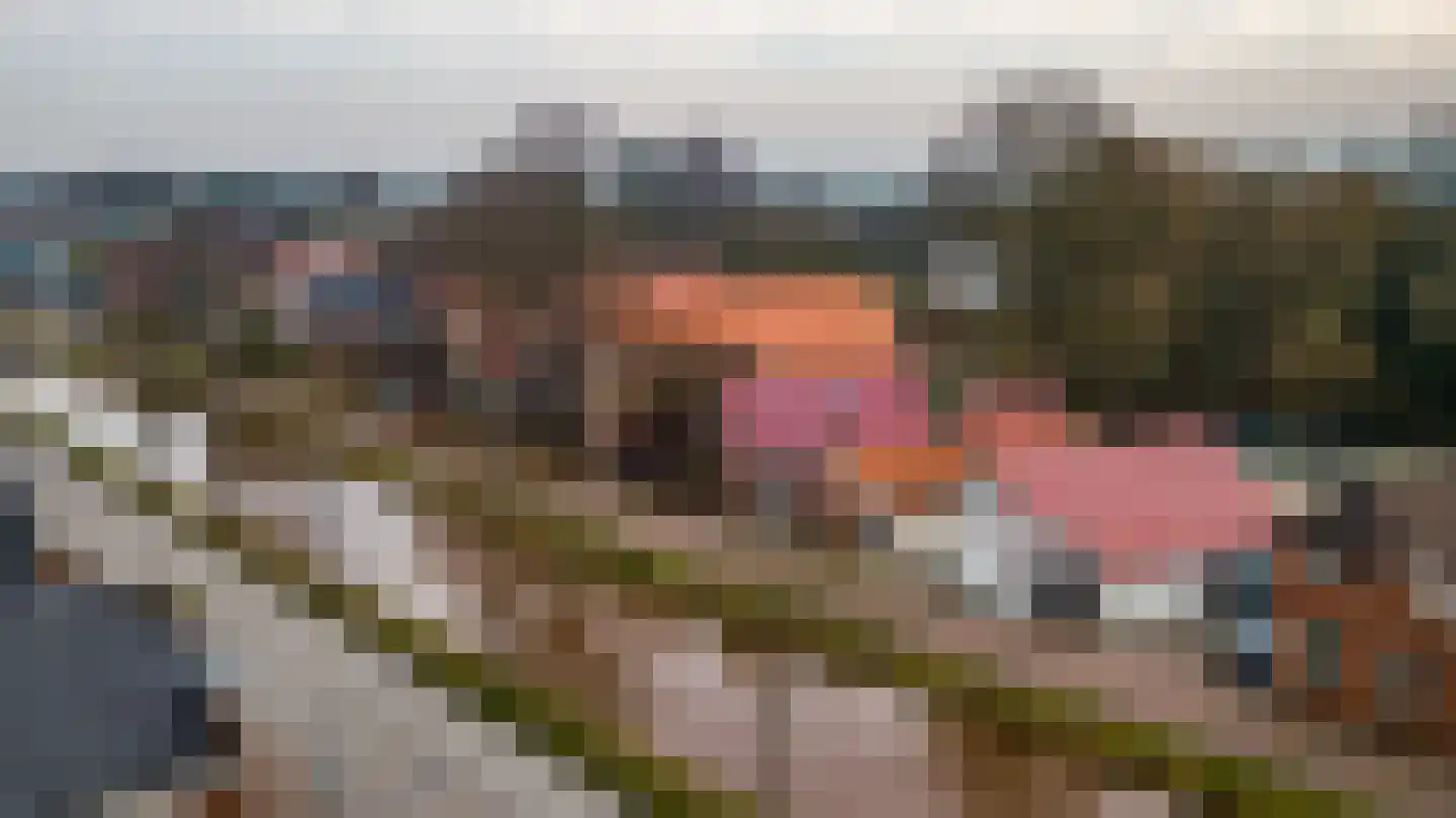 Albert Reijndersstraat B 206 Nieuwe Pekela thumbnail 9