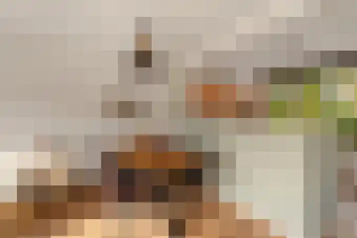 Albert Rousselsingel 14 Rotterdam thumbnail 10