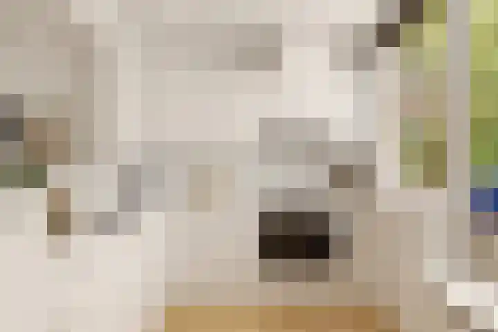 Albert Rousselsingel 14 Rotterdam thumbnail 12