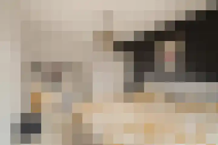 Albert Rousselsingel 14 Rotterdam thumbnail 15