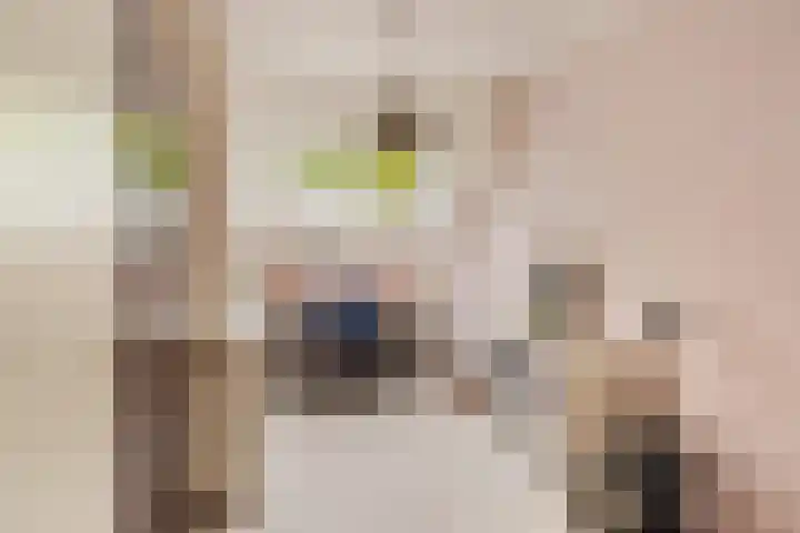 Albert Rousselsingel 14 Rotterdam thumbnail 18