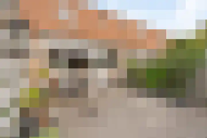 Albert Rousselsingel 14 Rotterdam thumbnail 25