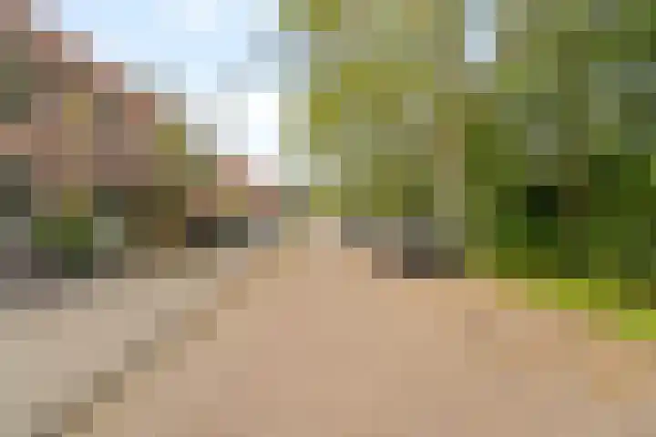 Albert Rousselsingel 14 Rotterdam thumbnail 29