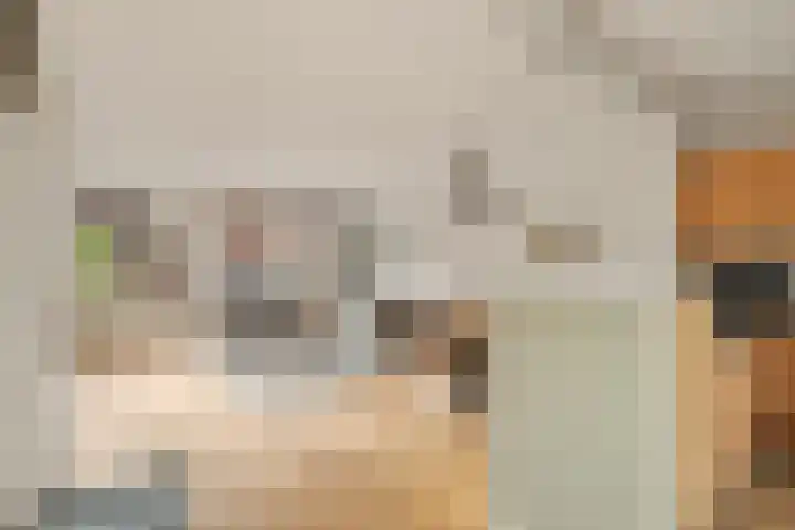 Albert Rousselsingel 14 Rotterdam thumbnail 7