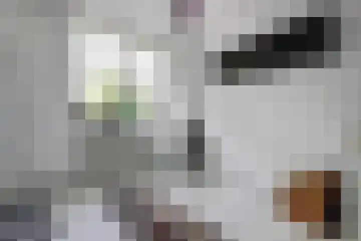 Albert Rousselsingel 48 Rotterdam thumbnail 18