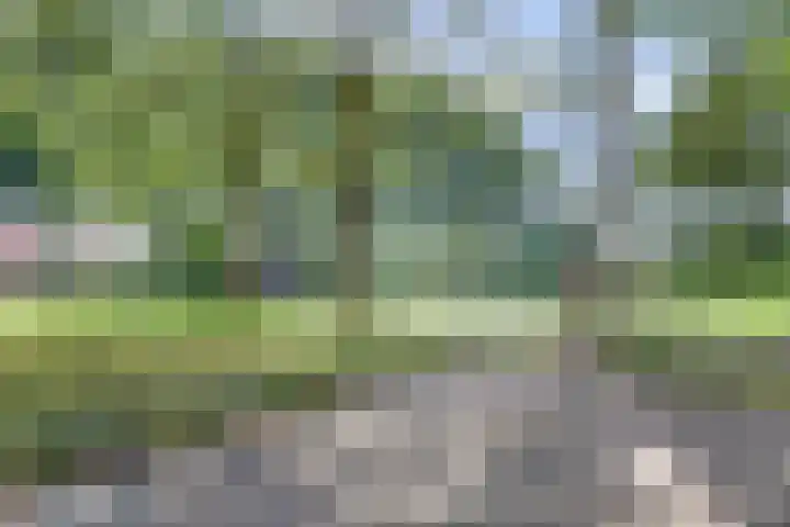 Albert Rousselsingel 48 Rotterdam thumbnail 30