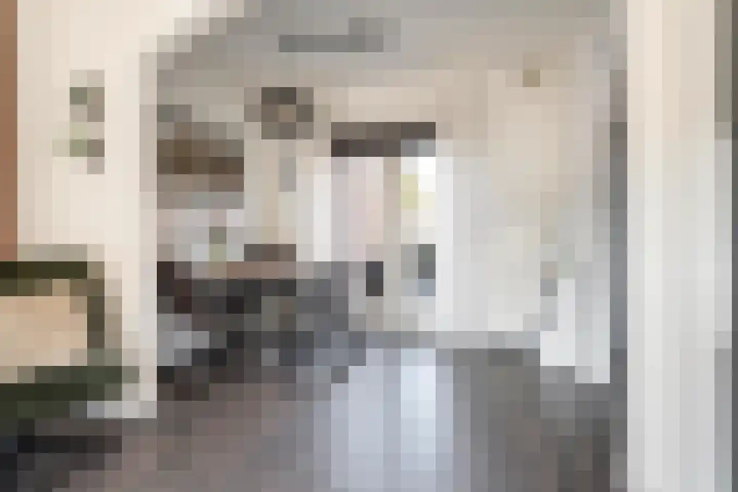 Albert Rozemanstraat 26 Hoogeveen thumbnail 13