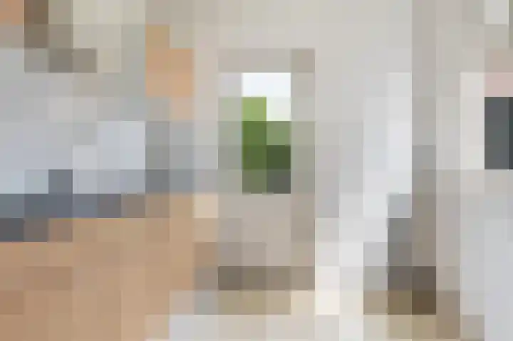 Albert Rozemanstraat 33 Hoogeveen thumbnail 6