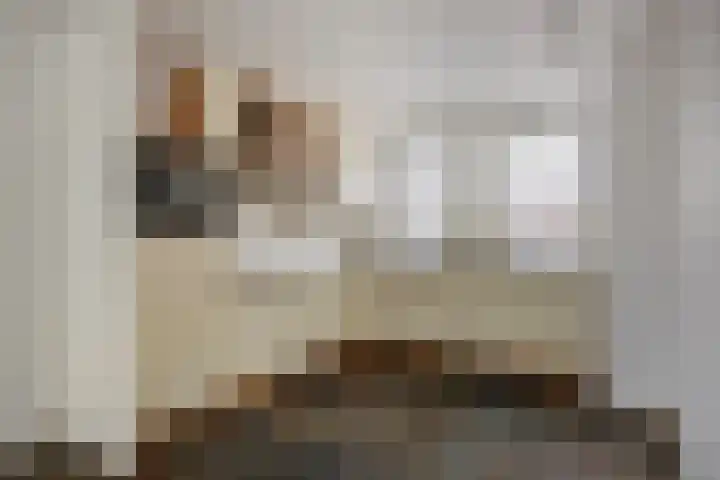 Albert Ruylweg 12 Sleeuwijk thumbnail 14