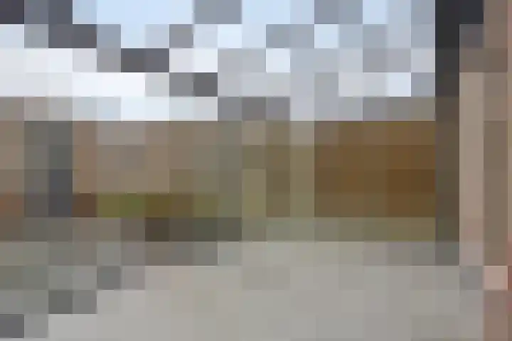 Albert Ruylweg 12 Sleeuwijk thumbnail 18