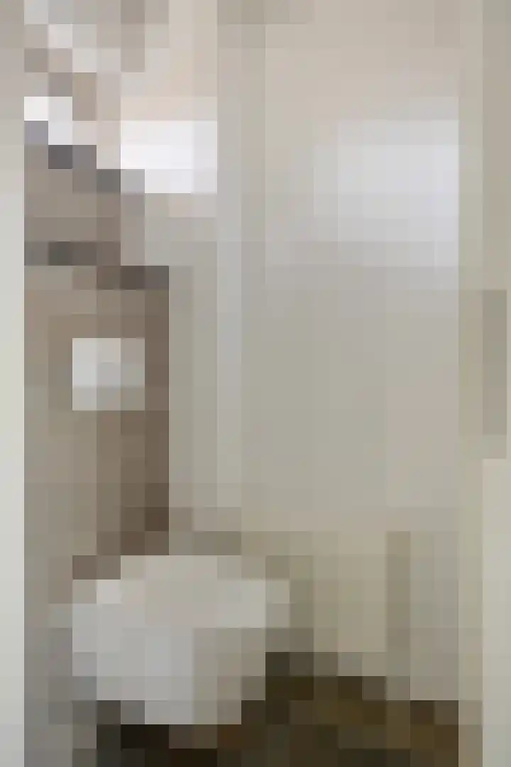 Albert Ruylweg 12 Sleeuwijk thumbnail 5