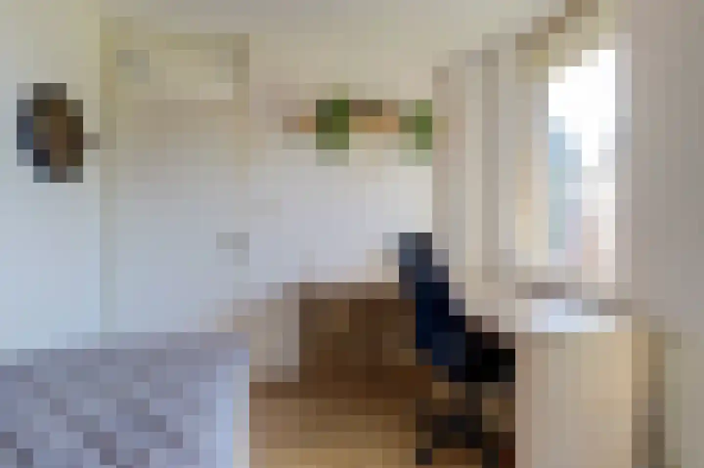 Albert Ruylweg 2 Sleeuwijk thumbnail 26