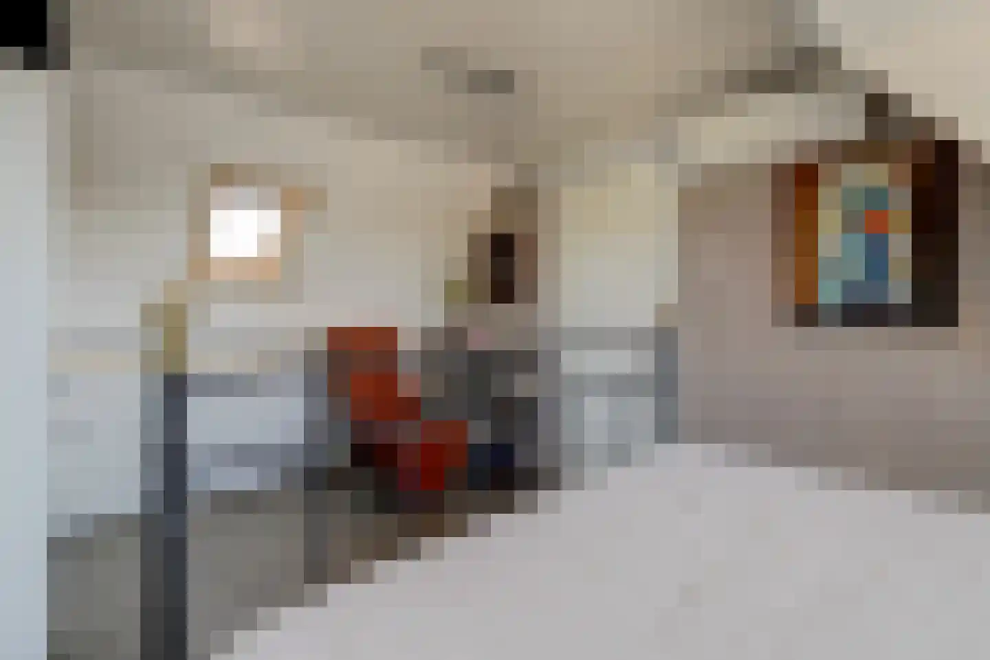 Albert Ruylweg 2 Sleeuwijk thumbnail 35
