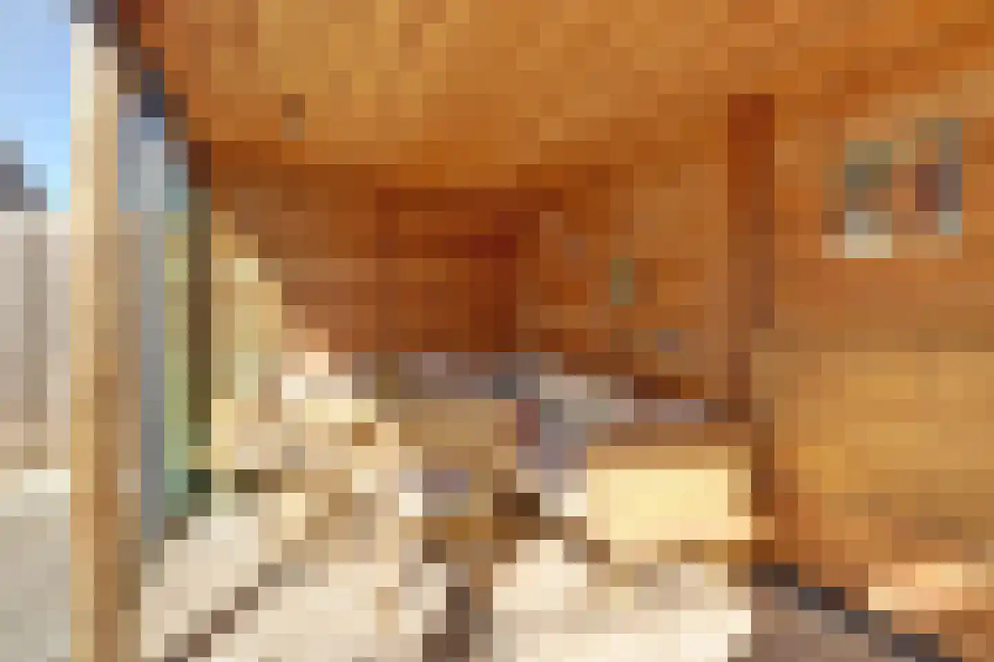 Albert Ruylweg 2 Sleeuwijk thumbnail 38