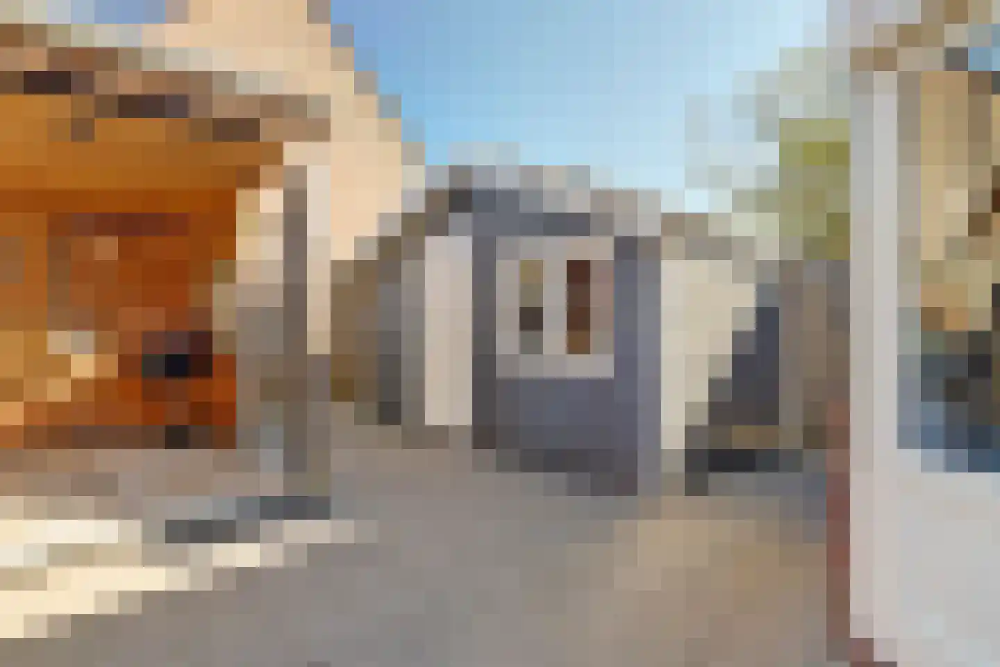 Albert Ruylweg 2 Sleeuwijk thumbnail 39