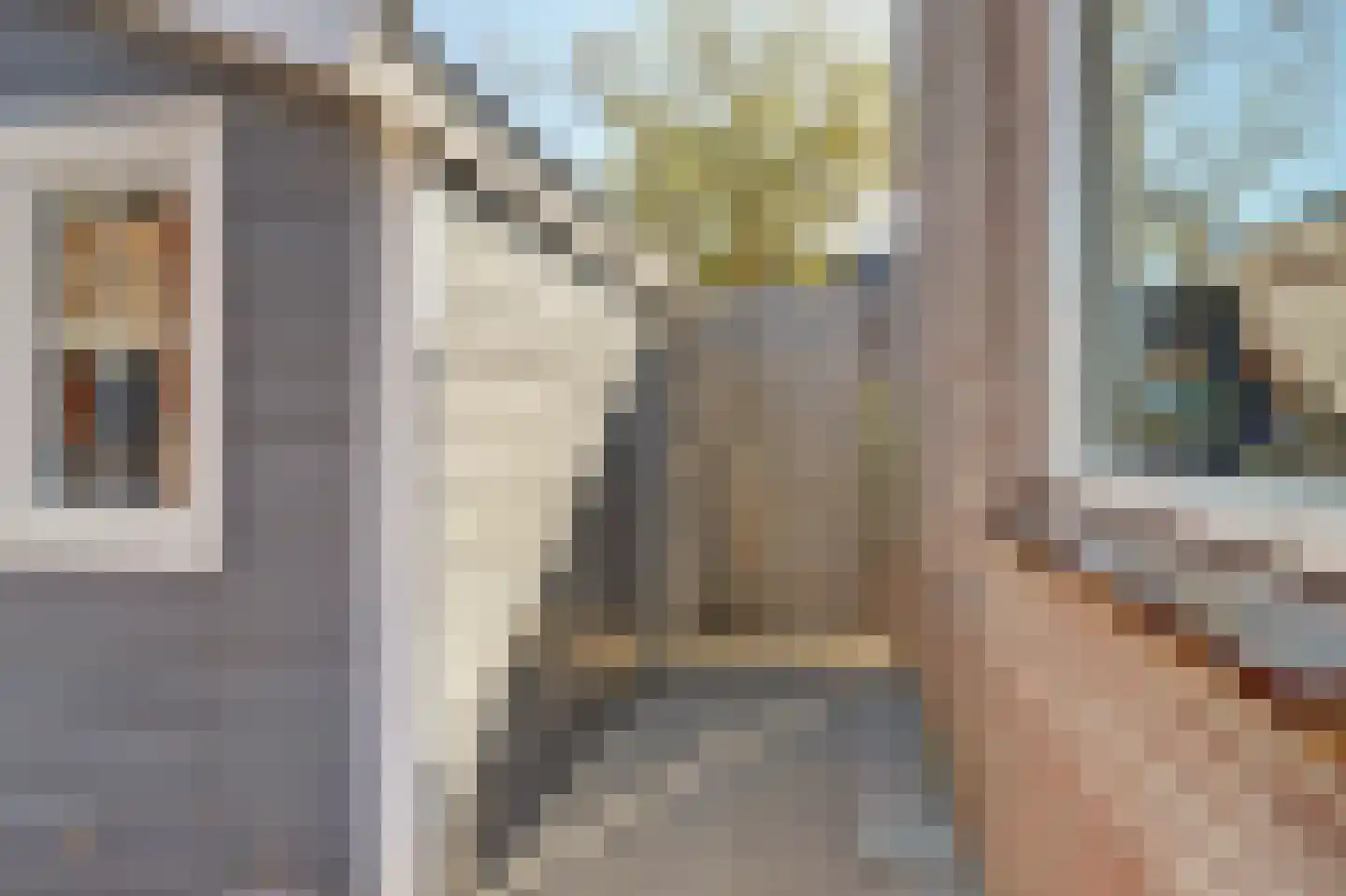 Albert Ruylweg 2 Sleeuwijk thumbnail 40