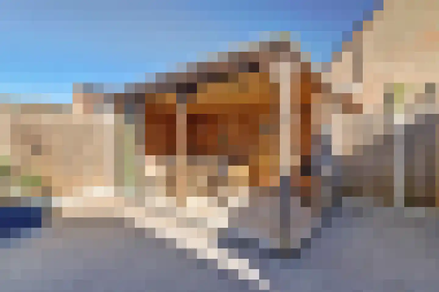 Albert Ruylweg 2 Sleeuwijk thumbnail 5