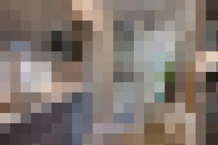 Albert Ruylweg 5 Sleeuwijk thumbnail 11