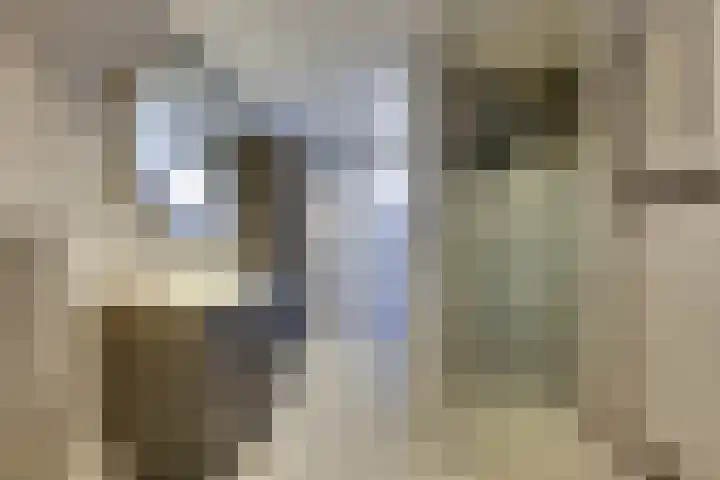 Albert Ruylweg 5 Sleeuwijk thumbnail 17