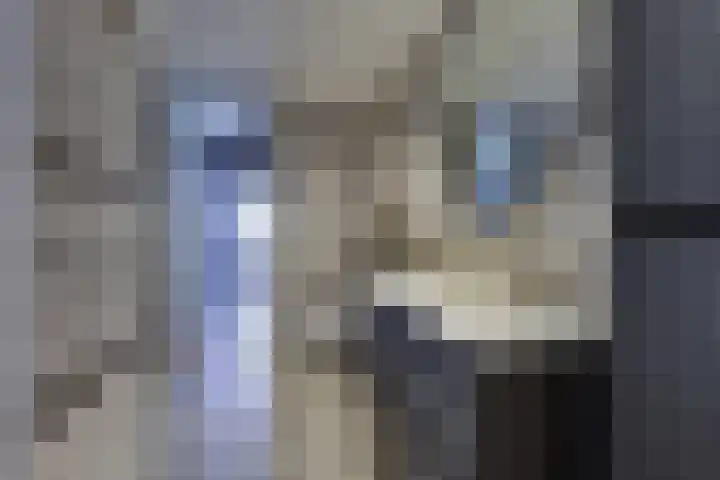 Albert Ruylweg 5 Sleeuwijk thumbnail 18