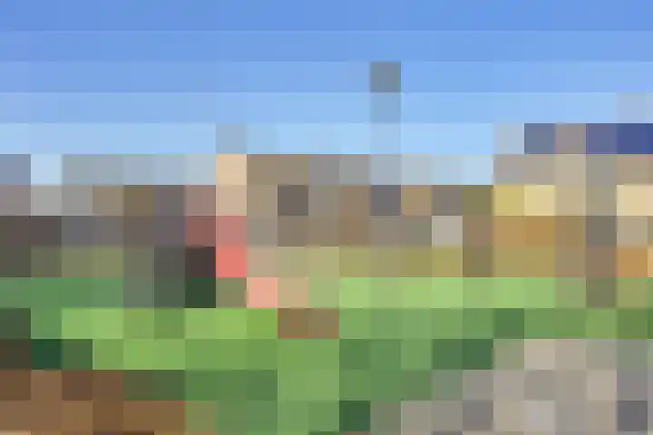 Albert Ruylweg 5 Sleeuwijk thumbnail 30