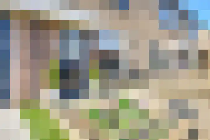 Albert Ruylweg 5 Sleeuwijk thumbnail 5