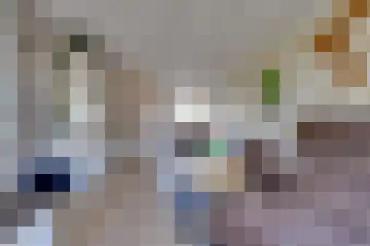 Albert Ruylweg 5 Sleeuwijk thumbnail 8