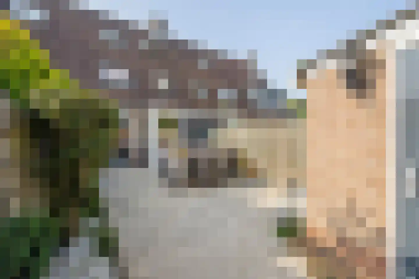 Albert Ruylweg 8 Sleeuwijk thumbnail 13