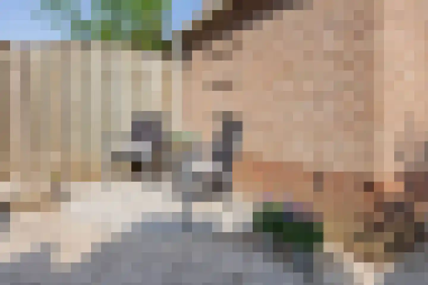 Albert Ruylweg 8 Sleeuwijk thumbnail 14