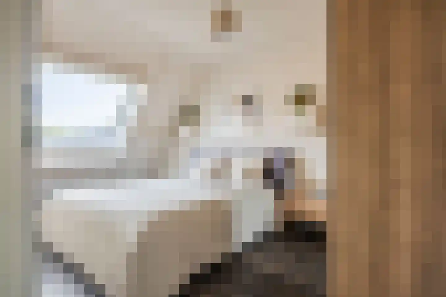 Albert Ruylweg 8 Sleeuwijk thumbnail 17